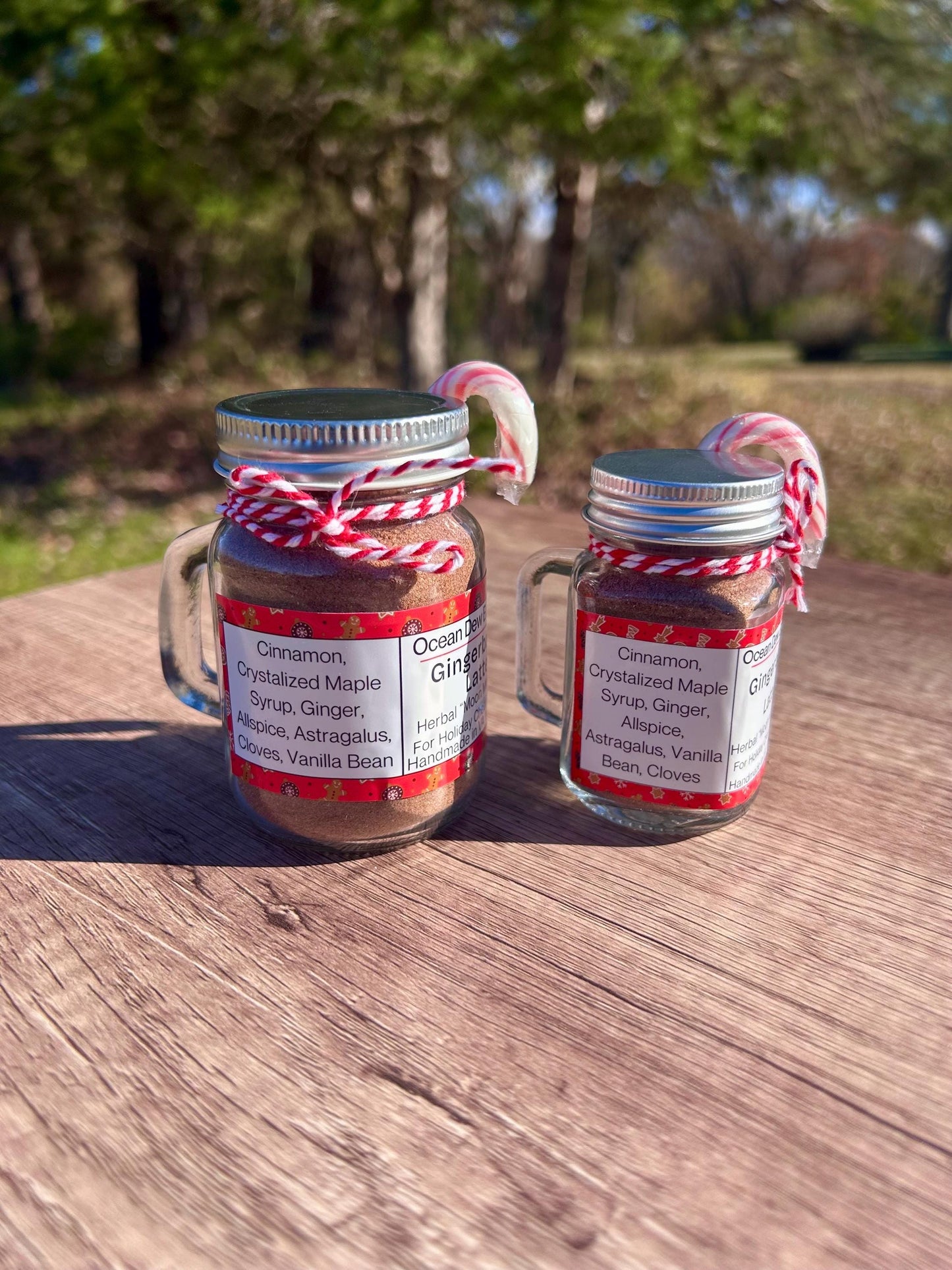 Vegan Gingerbread Latte Mix | Holiday Spice Blend | Christmas Latte | Cozy Winter Spice Mix