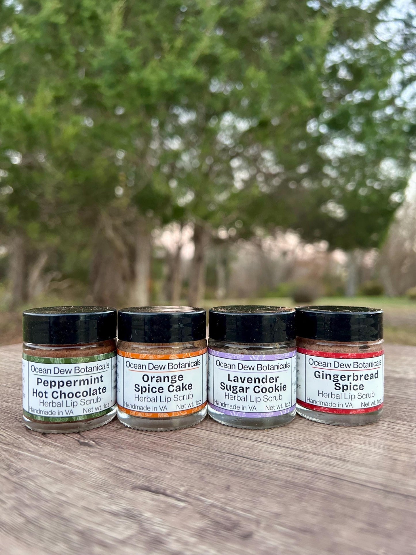 Gingerbread Spice Lip Scrub Vegan • Holiday Lip Exfoliant • Natural Vegan Sugar Scrub for Soft Smooth Lips