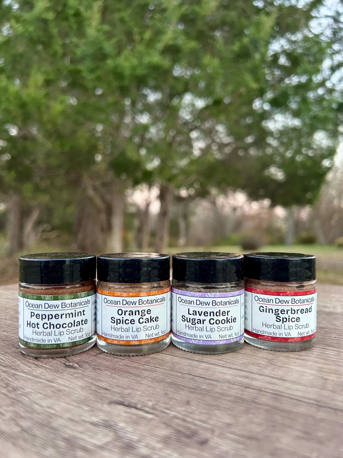 Orange Spice Cake Lip Scrub • Citrus Holiday Lip Exfoliant • Natural Vegan Sugar Scrub for Soft Smooth Lips