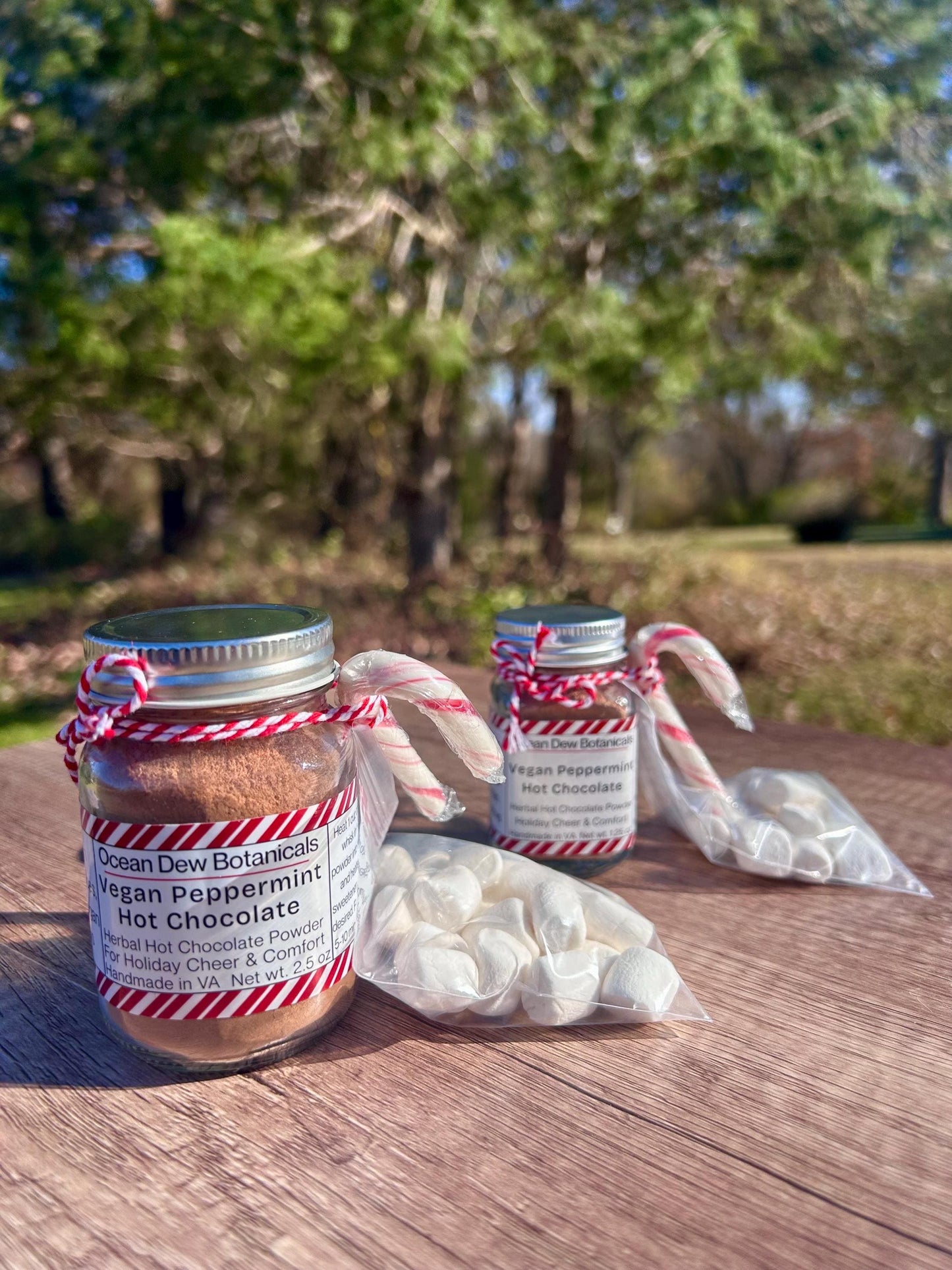 Vegan Peppermint Hot Chocolate Mix | Candy Cane Cacao | Dairy Free Hot Chocolate | Holiday Hot Cocoa