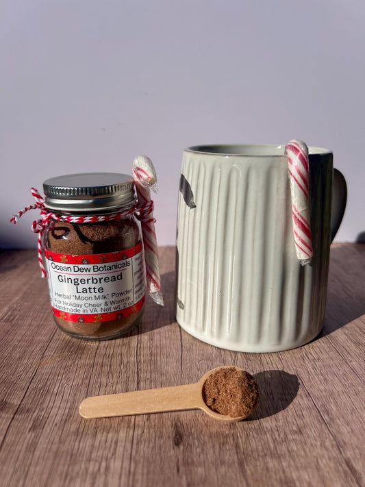 Vegan Gingerbread Latte Mix | Holiday Spice Blend | Christmas Latte | Cozy Winter Spice Mix