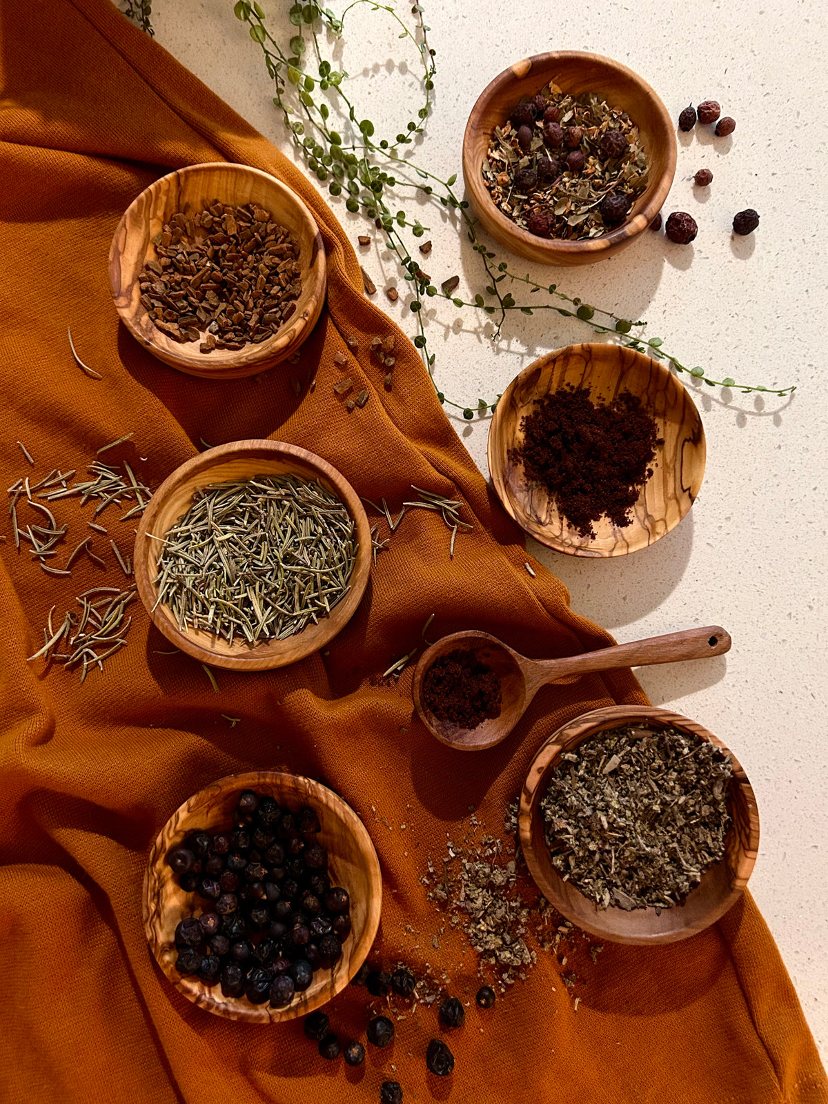 An overhead styled flat-lay of dried herbs and spices in small wooden bowls and a wooden spoon, arranged on a rust-orange fabric over a light beige surface with scattered greenery.