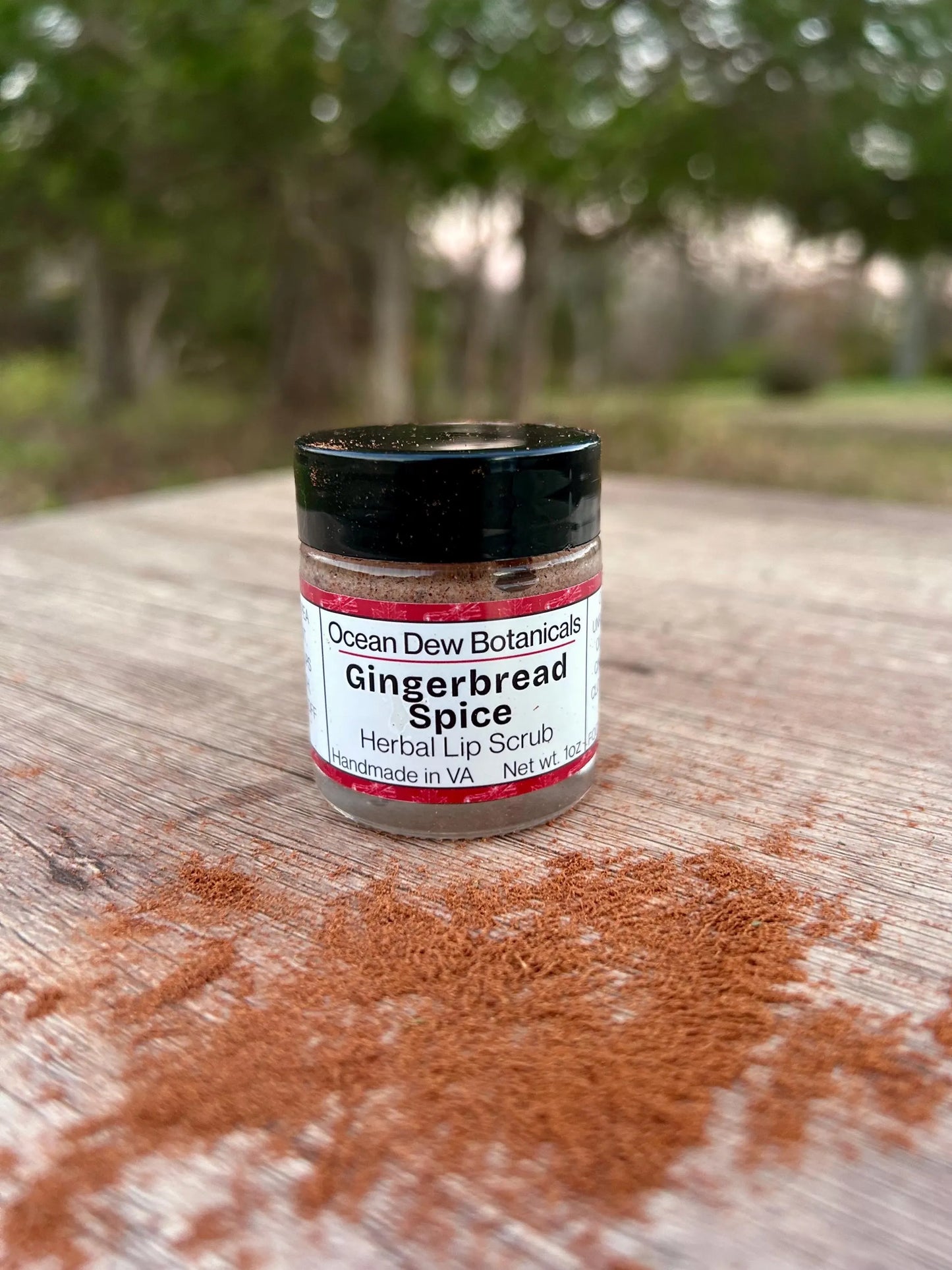Gingerbread Spice Lip Scrub Vegan • Holiday Lip Exfoliant • Natural Vegan Sugar Scrub for Soft Smooth Lips