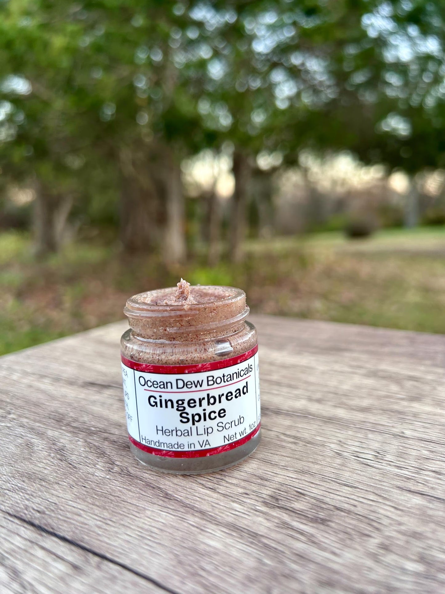 Gingerbread Spice Lip Scrub Vegan • Holiday Lip Exfoliant • Natural Vegan Sugar Scrub for Soft Smooth Lips