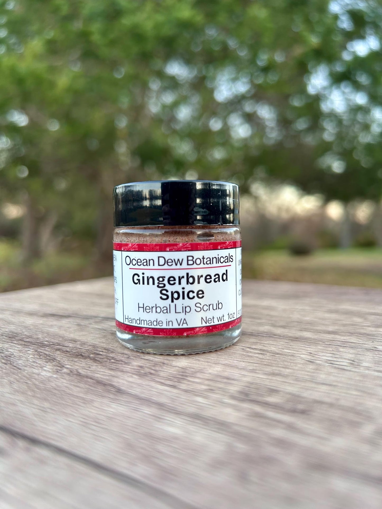 Gingerbread Spice Lip Scrub Vegan • Holiday Lip Exfoliant • Natural Vegan Sugar Scrub for Soft Smooth Lips