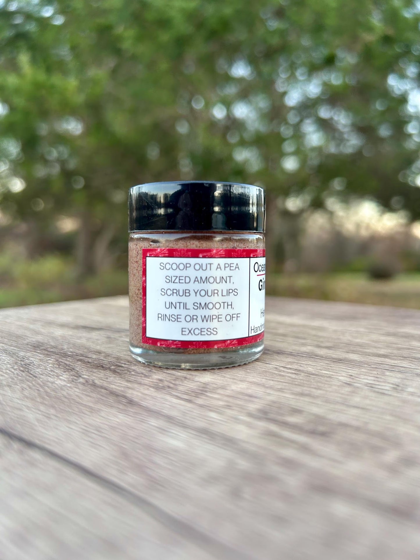 Gingerbread Spice Lip Scrub Vegan • Holiday Lip Exfoliant • Natural Vegan Sugar Scrub for Soft Smooth Lips