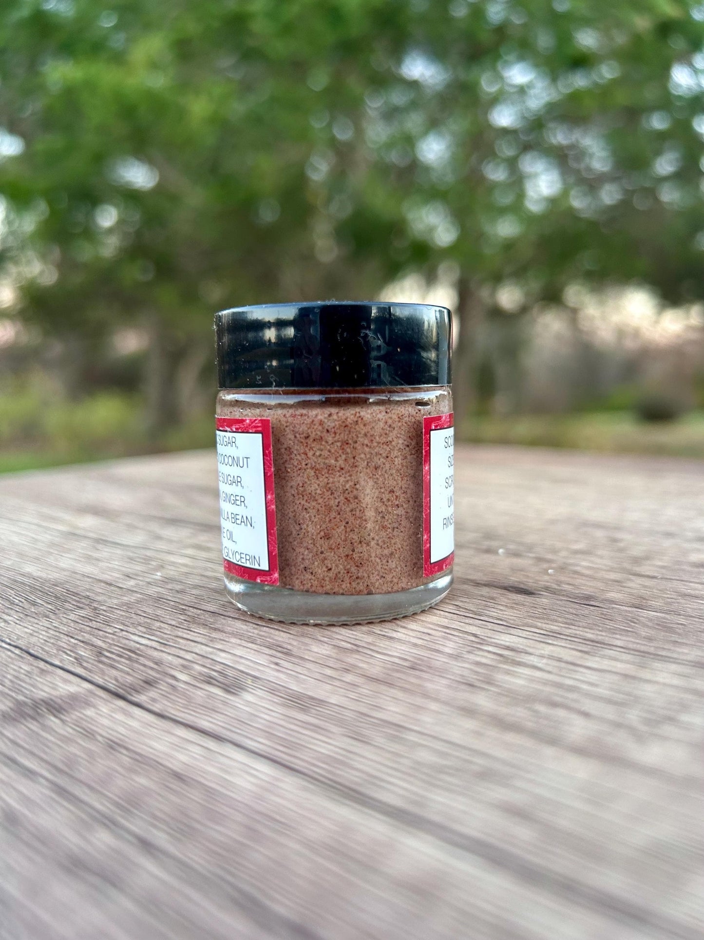 Gingerbread Spice Lip Scrub Vegan • Holiday Lip Exfoliant • Natural Vegan Sugar Scrub for Soft Smooth Lips