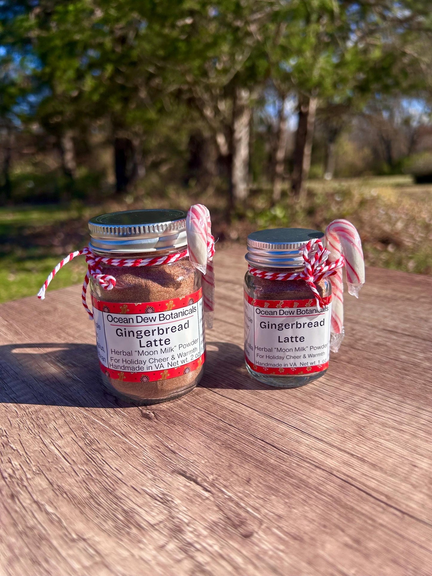 Vegan Gingerbread Latte Mix | Holiday Spice Blend | Christmas Latte | Cozy Winter Spice Mix